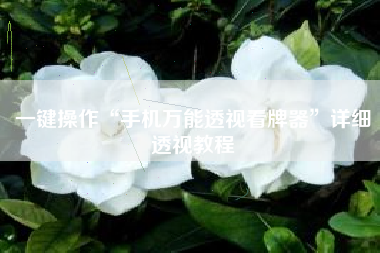 一键操作“手机万能透视看牌器”详细透视教程