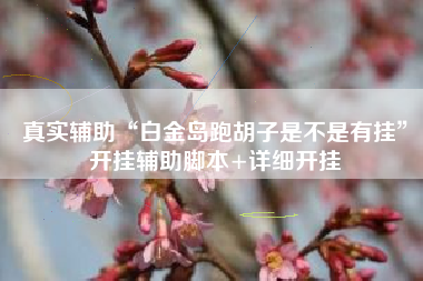 真实辅助“白金岛跑胡子是不是有挂”开挂辅助脚本+详细开挂