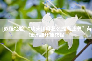 [教程经验]“功夫川麻怎么提高胜率”有挂详细开挂教程