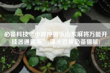 必备科技“小程序微乐山东麻将万能开挂器通用版”(曝光透视必备猫腻) 必备科技“小程序微乐山东麻将万能开挂器通用版”(曝光透视必备猫腻)