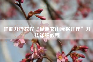 辅助开挂教程“昆明文山麻将开挂”开挂详细教程