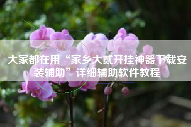 大家都在用“家乡大贰开挂神器下载安装辅助”详细辅助软件教程 大家都在用“家乡大贰开挂神器下载安装辅助”详细辅助软件教程