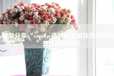 辅助分享“wepoker德州局透视挂作弊辅助”开挂辅助教程 辅助分享“wepoker德州局透视挂作弊辅助”开挂辅助教程