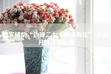 真实辅助“边锋二七十有没有挂”(透视)开挂详细教程