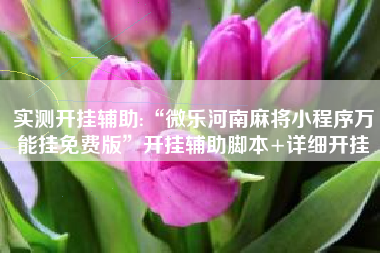 实测开挂辅助:“微乐河南麻将小程序万能挂免费版”开挂辅助脚本+详细开挂 实测开挂辅助:“微乐河南麻将小程序万能挂免费版”开挂辅助脚本+详细开挂