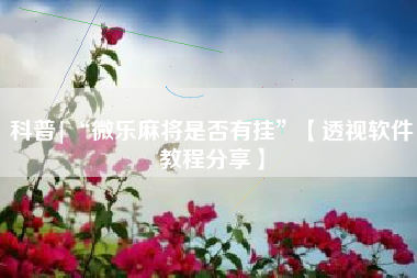 科普|“微乐麻将是否有挂”【透视软件教程分享】