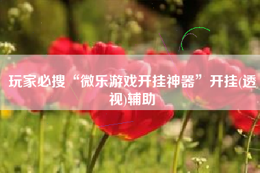 玩家必搜“微乐游戏开挂神器”开挂(透视)辅助 玩家必搜“微乐游戏开挂神器”开挂(透视)辅助