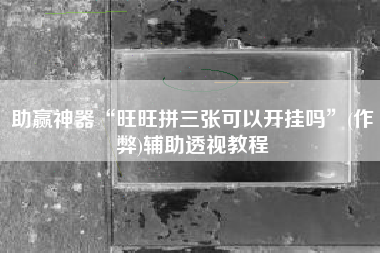 助赢神器“旺旺拼三张可以开挂吗”(作弊)辅助透视教程