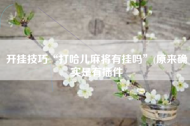 开挂技巧“打哈儿麻将有挂吗”(原来确实是有插件 开挂技巧“打哈儿麻将有挂吗”(原来确实是有插件