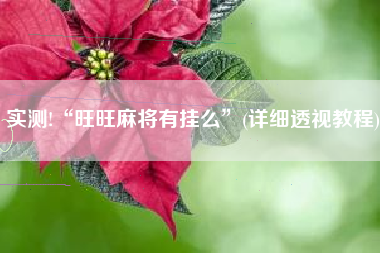 实测!“旺旺麻将有挂么”(详细透视教程)