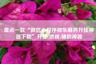 盘点一款“微信小程序微乐麻将开挂神器下载”开挂(透视)辅助神器 盘点一款“微信小程序微乐麻将开挂神器下载”开挂(透视)辅助神器