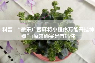 科普|“微乐广西麻将小程序万能开挂神器”(原来确实是有插件