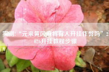 实测!“元来黄冈麻将有人开挂作弊吗”2026开挂教程步骤 实测!“元来黄冈麻将有人开挂作弊吗”2026开挂教程步骤