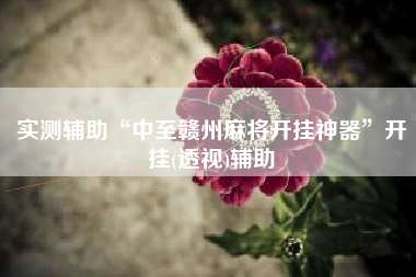 实测辅助“中至赣州麻将开挂神器”开挂(透视)辅助