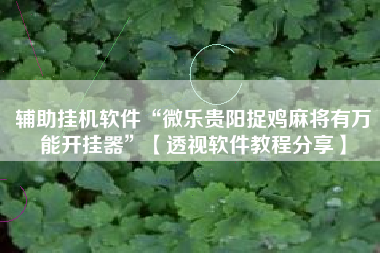 辅助挂机软件“微乐贵阳捉鸡麻将有万能开挂器”【透视软件教程分享】 辅助挂机软件“微乐贵阳捉鸡麻将有万能开挂器”【透视软件教程分享】