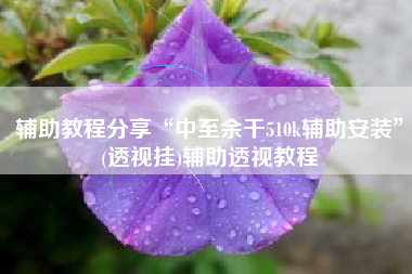 辅助教程分享“中至余干510k辅助安装”(透视挂)辅助透视教程 辅助教程分享“中至余干510k辅助安装”(透视挂)辅助透视教程