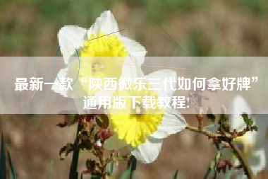 最新一款“陕西微乐三代如何拿好牌”通用版下载教程!