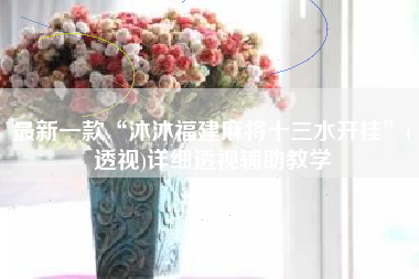 最新一款“沐沐福建麻将十三水开挂”(透视)详细透视辅助教学