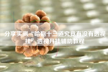 分享实测“哈狗十三道究竟有没有透视挂”透视开挂辅助教程