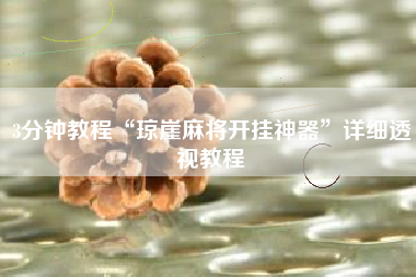 3分钟教程“琼崖麻将开挂神器”详细透视教程