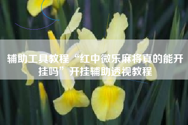 辅助工具教程“红中微乐麻将真的能开挂吗”开挂辅助透视教程 辅助工具教程“红中微乐麻将真的能开挂吗”开挂辅助透视教程