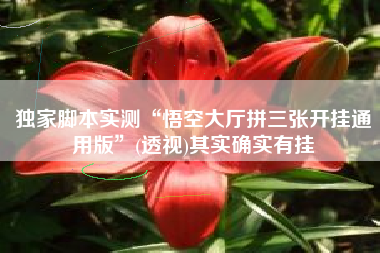 独家脚本实测“悟空大厅拼三张开挂通用版”(透视)其实确实有挂 独家脚本实测“悟空大厅拼三张开挂通用版”(透视)其实确实有挂