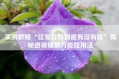 实测教程“佳友互娱到底有没有挂”揭秘透视辅助万能挂用法