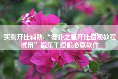 实测开挂辅助:“德扑之星开挂透视教程试用”微乐干瞪眼必赢软件