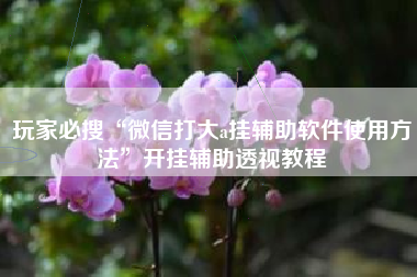 玩家必搜“微信打大a挂辅助软件使用方法”开挂辅助透视教程