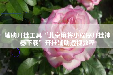 辅助开挂工具“北京麻将小程序开挂神器下载”开挂辅助透视教程 辅助开挂工具“北京麻将小程序开挂神器下载”开挂辅助透视教程