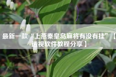 最新一款“上燕秦皇岛麻将有没有挂”【透视软件教程分享】 最新一款“上燕秦皇岛麻将有没有挂”【透视软件教程分享】