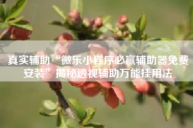 真实辅助“微乐小程序必赢辅助器免费安装”揭秘透视辅助万能挂用法 真实辅助“微乐小程序必赢辅助器免费安装”揭秘透视辅助万能挂用法