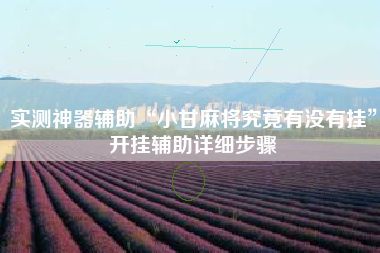 实测神器辅助“小甘麻将究竟有没有挂”开挂辅助详细步骤