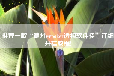 推荐一款“德州wepoker透视软件挂”详细开挂教程!
