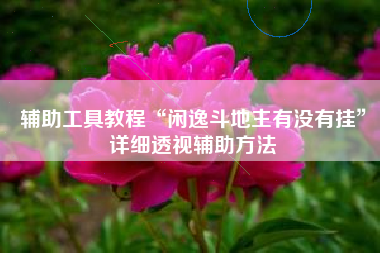 辅助工具教程“闲逸斗地主有没有挂”详细透视辅助方法