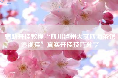 辅助开挂教程“四川泸州大贰四海茶馆透视挂”真实开挂技巧分享