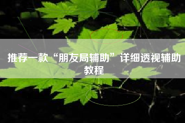 推荐一款“朋友局辅助”详细透视辅助教程 推荐一款“朋友局辅助”详细透视辅助教程