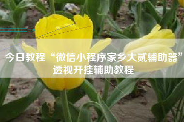 今日教程“微信小程序家乡大贰辅助器”透视开挂辅助教程