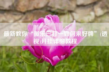 最新教你“微乐三打一如何来好牌”(透视)开挂详细教程