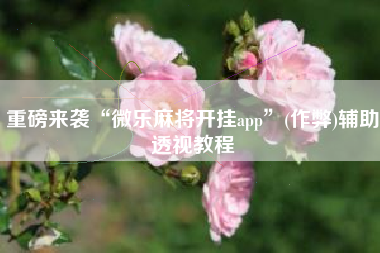 重磅来袭“微乐麻将开挂app”(作弊)辅助透视教程