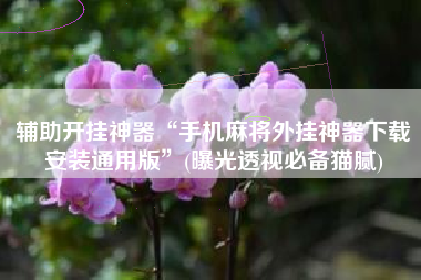 辅助开挂神器“手机麻将外挂神器下载安装通用版”(曝光透视必备猫腻) 辅助开挂神器“手机麻将外挂神器下载安装通用版”(曝光透视必备猫腻)