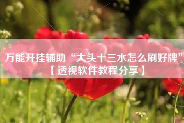 万能开挂辅助“大头十三水怎么刷好牌”【透视软件教程分享】