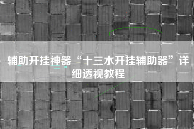 辅助开挂神器“十三水开挂辅助器”详细透视教程