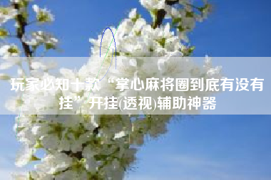 玩家必知十款“掌心麻将圈到底有没有挂”开挂(透视)辅助神器 玩家必知十款“掌心麻将圈到底有没有挂”开挂(透视)辅助神器