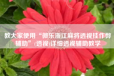 教大家使用“微乐浙江麻将透视挂作弊辅助”(透视)详细透视辅助教学