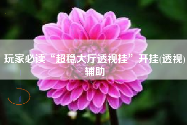 玩家必读“超稳大厅透视挂”开挂(透视)辅助 玩家必读“超稳大厅透视挂”开挂(透视)辅助