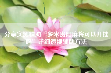 分享实测辅助“多米贵阳麻将可以开挂吗”详细透视辅助方法