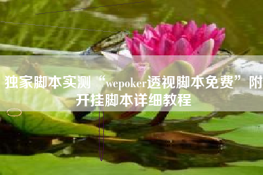 独家脚本实测“wepoker透视脚本免费”附开挂脚本详细教程