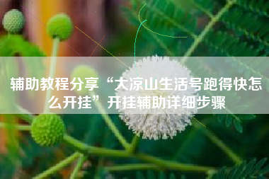 辅助教程分享“大凉山生活号跑得快怎么开挂”开挂辅助详细步骤