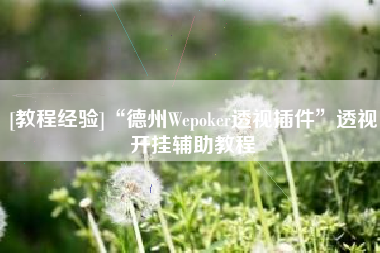 [教程经验]“德州Wepoker透视插件”透视开挂辅助教程